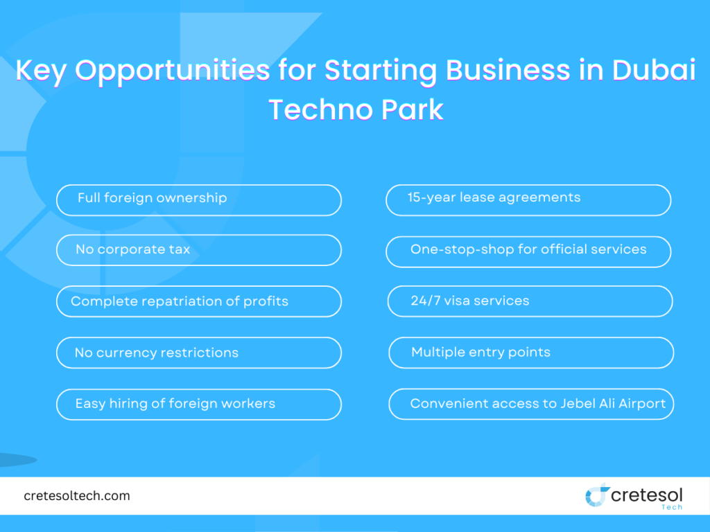Key Opportunities for Businesses