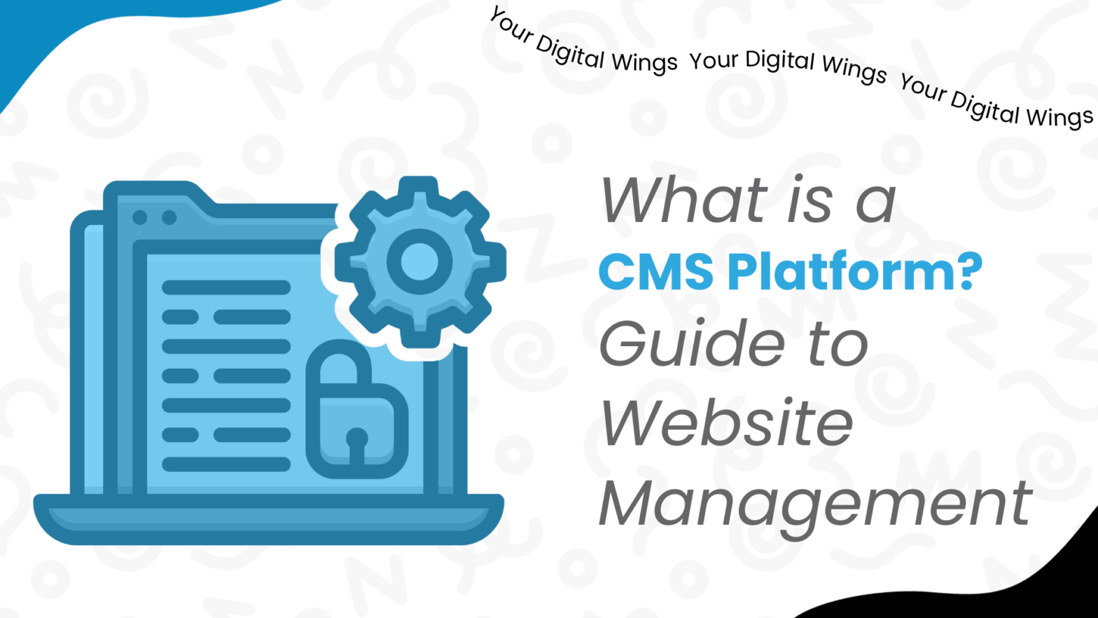 What is CMS Platform?